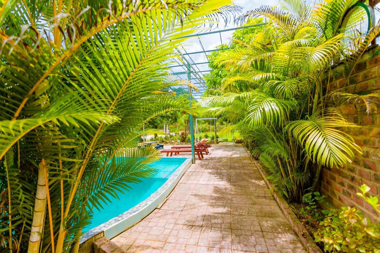Phong Nha Amanda 2 Homestay Εξωτερικό φωτογραφία